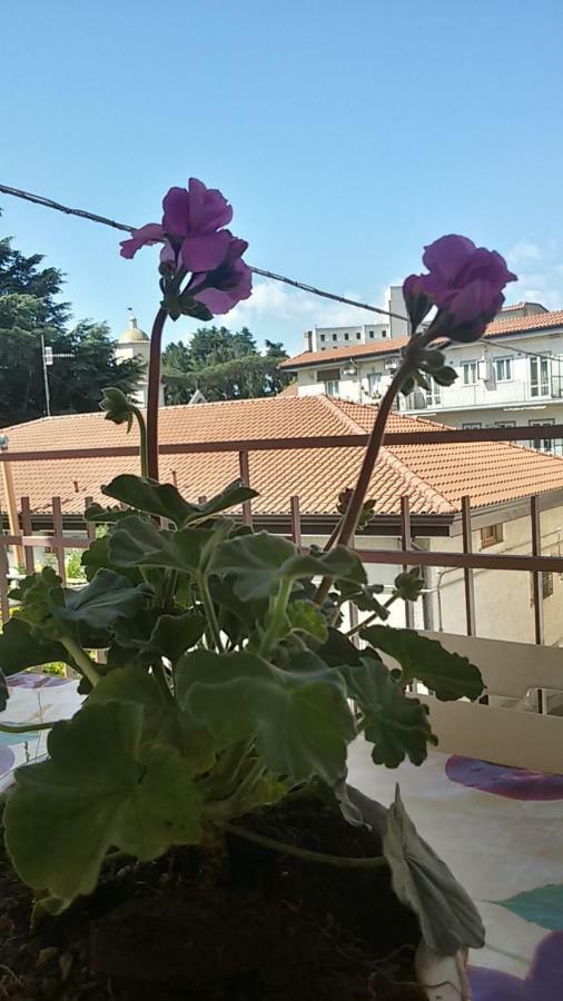 Casa Vacanza Xenia アジェーロラ エクステリア 写真